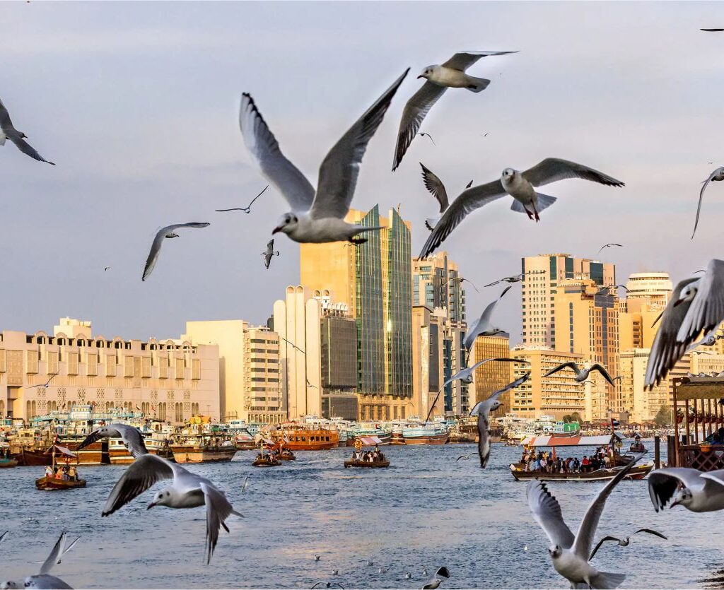 DEIRA DUBAI